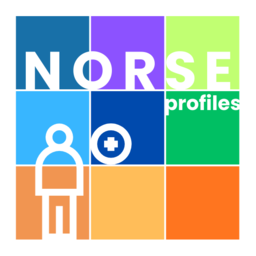 NORSE Profiles platform